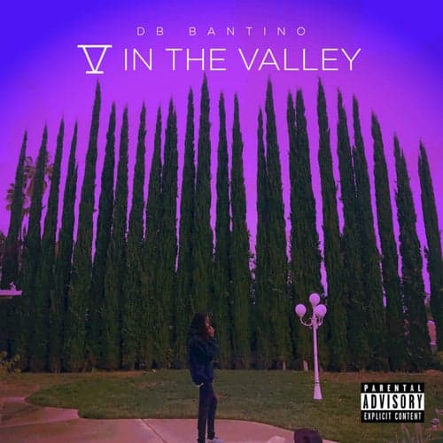 5 in the Valley