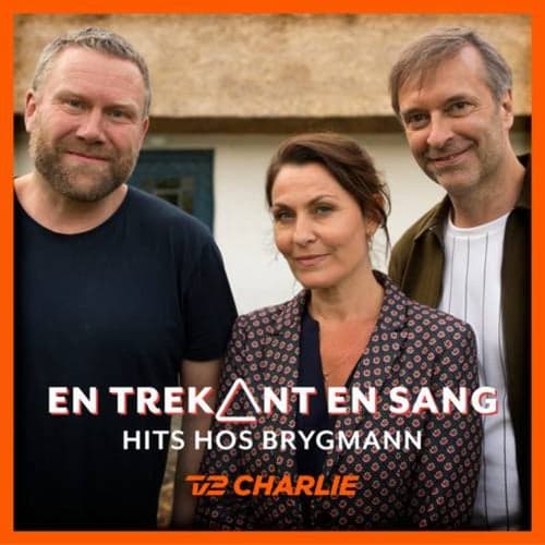 En Trekant En Sang 2 - Hits Hos Brygmann
