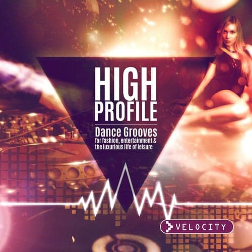 High Profile - Dance Grooves