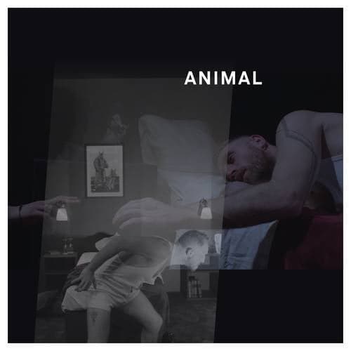 Animal (Radio Version)