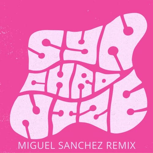 Synchronize (Miguel Sanchez Remix)