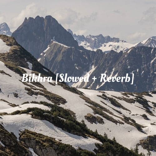 Bikhra [Slowed + Reverb]