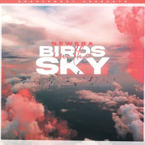 Birds In The Sky (Irish Remix Pack)