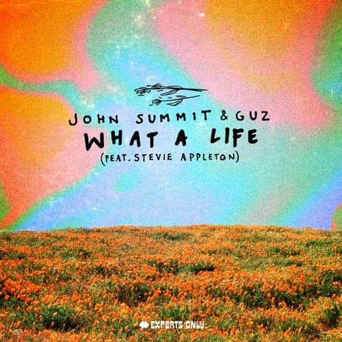 What A Life (feat. Stevie Appleton)
