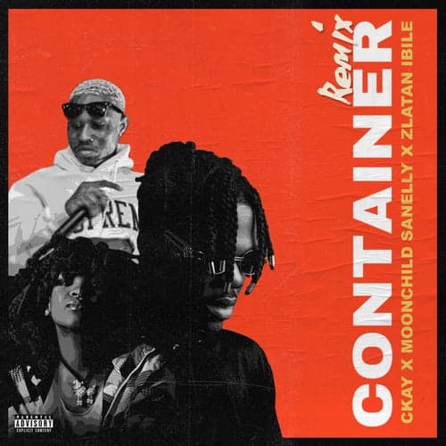 Container (feat. Moonchild Sanelly and Zlatan Ibile) [Remix]