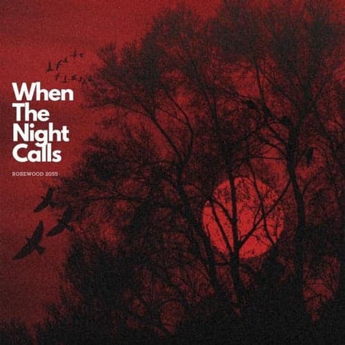 When The Night Calls
