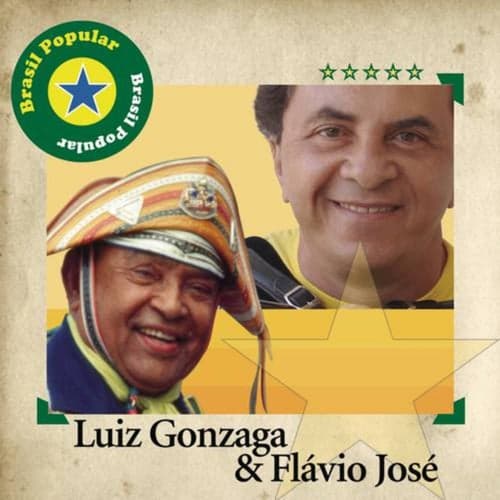 Brasil Popular - Luiz Gonzaga E Flávio José