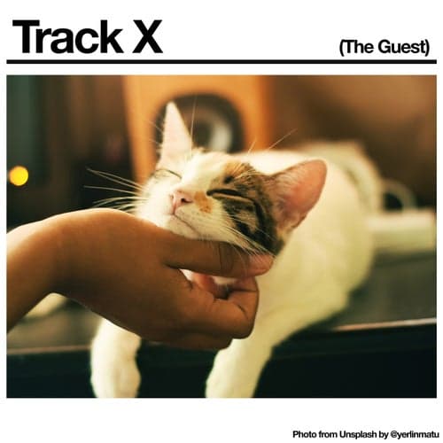Track X (The Guest)