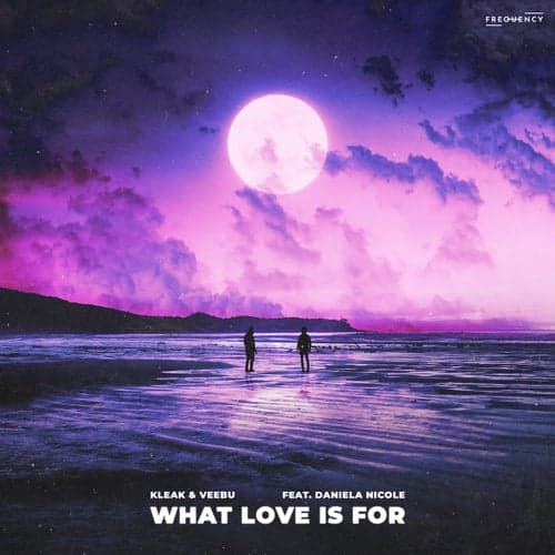 What Love is For (feat. Daniela Nicole)