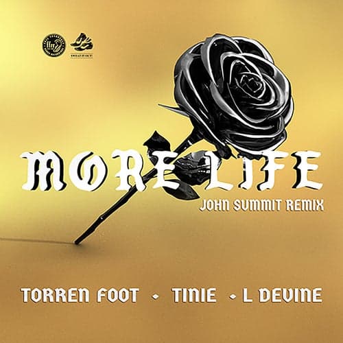 More Life (feat. Tinie Tempah & L Devine) [John Summit Remix]