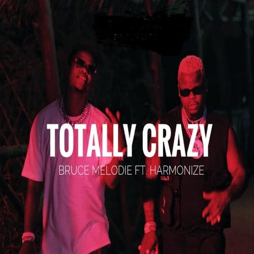 Totally Crazy (feat. Harmonize)