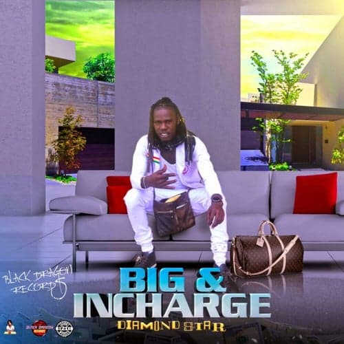 Big & Incharge