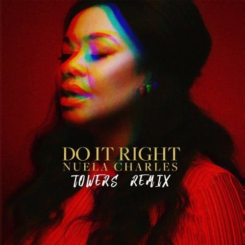 Do It Right (Towers Remix)