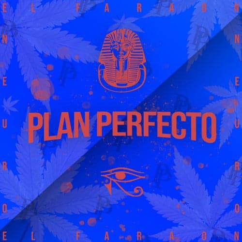 Plan Perfecto