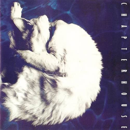 Whirlpool (Expanded Edition)