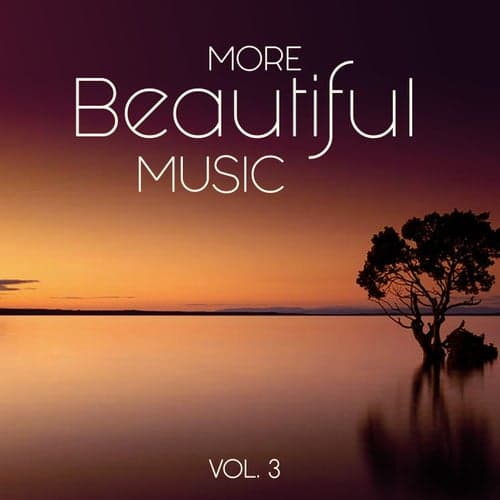 More Beautiful Music - Vol. 3