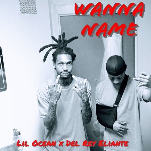 Wanna Name (feat. Del Rey Eliante)