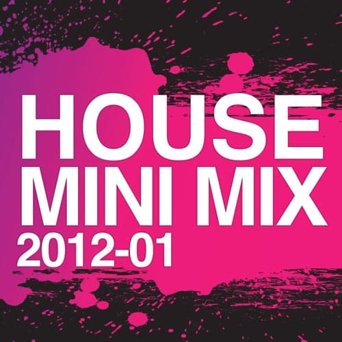 House Mini Mix 2012 - 01