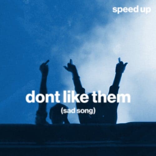 don't like them (sad song) (speed up)