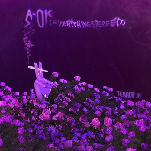 A-OK (Everything's Perfect)