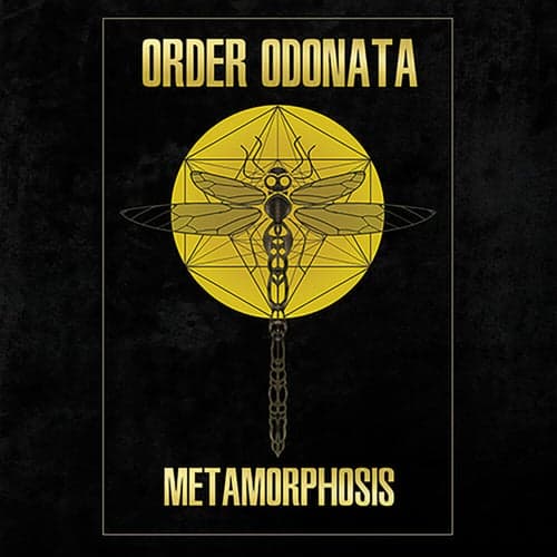 Order Odonata – Metamorphosis