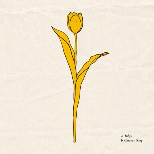 Tulips / Cartoon Song