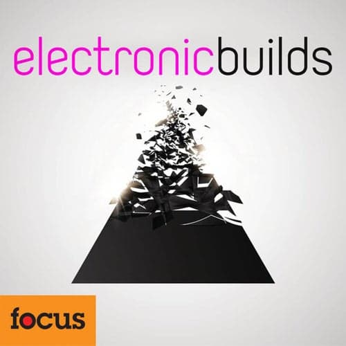 Electronic Builds