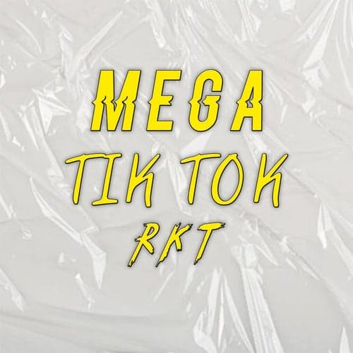 Mega Tik Tok Rkt (feat. DJ Braian Style & Gusty DJ)