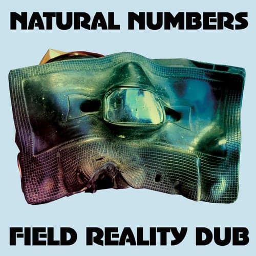 Field Reality Dub