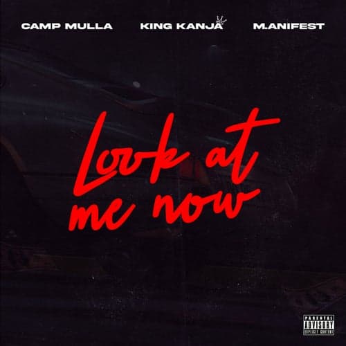 Look at Me Now (feat. M.anifest)