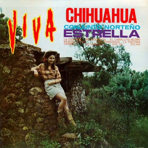 Viva Chihuahua (Remaster from the Original Azteca Tapes)
