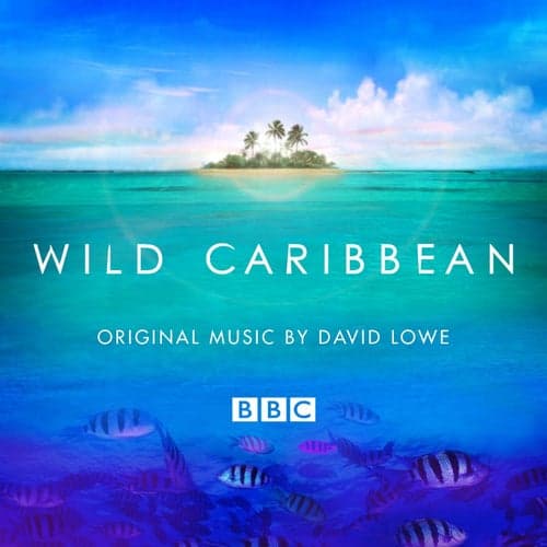 Wild Caribbean - Original Music By David Lowe