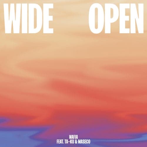 Wide Open (feat. Ta-ku & Masego)