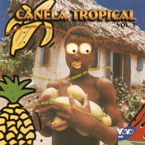 Canela Tropical, Vol. 1