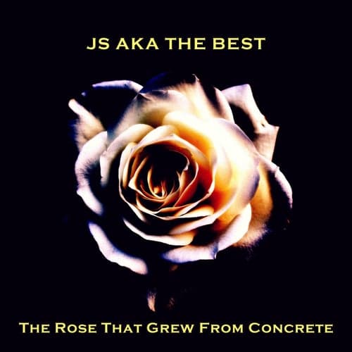 THE ROSE THAT GREW FROM CONCRETE
