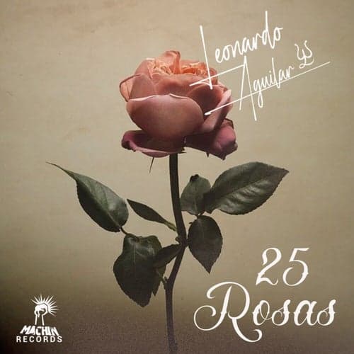 25 Rosas