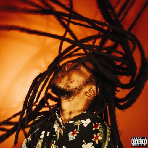 Shook My Dreads - EP