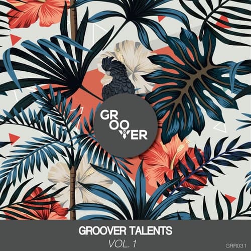 Groover Talents Vol.1 (Extended Mix)