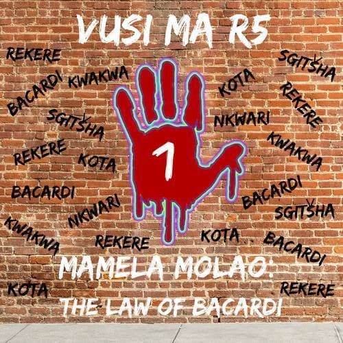 MAMELA MOLAO - THE LAW OF BACARDI 1