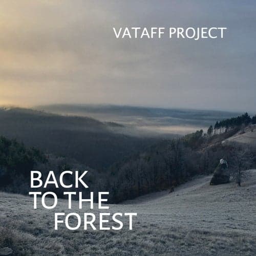 Back to the Forest
