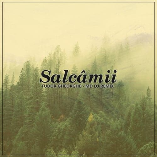 Salcâmii (MD Dj Remix Extended)