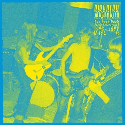 SWEDISH MEATBALLS Vol 2 - The Hard Rock Psych Underground 1970-1977