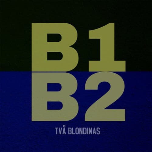 B1 & B2