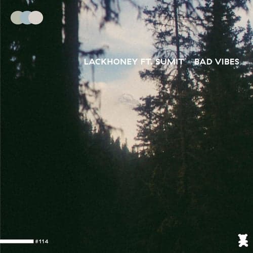 BAD VIBES (feat. Sumit)
