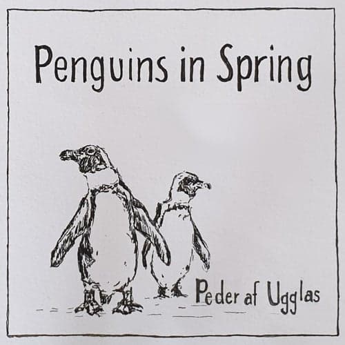 Penguins in Spring