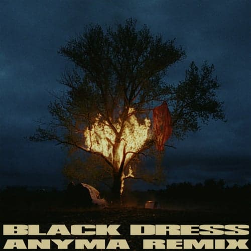 Black Dress (Anyma Remix)