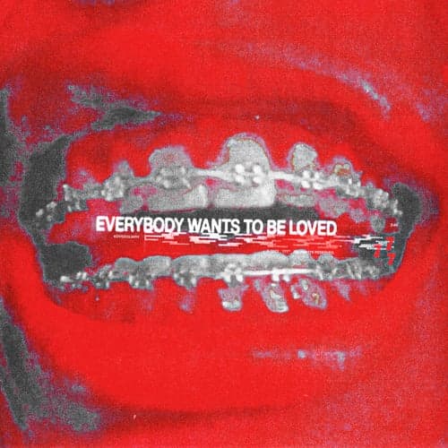 EVERYBODY WANTS TO BE LOVED.