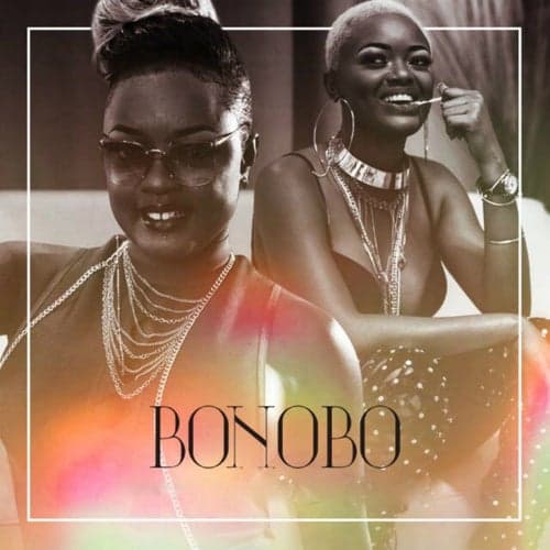 Bonobo (feat. Shan'L)