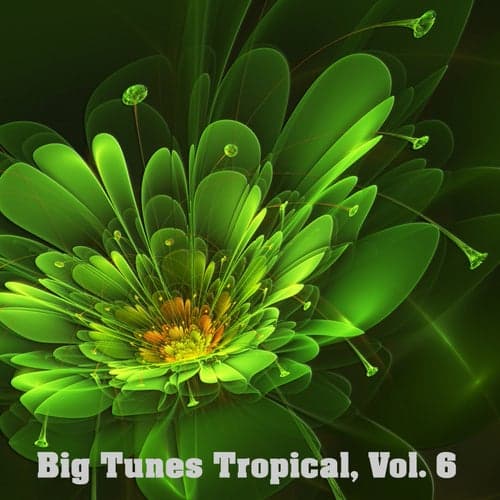 Big Tunes Tropical, Vol. 6