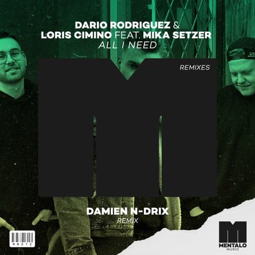All I Need (feat. Mika Setzer) [Damien N-Drix Remix]